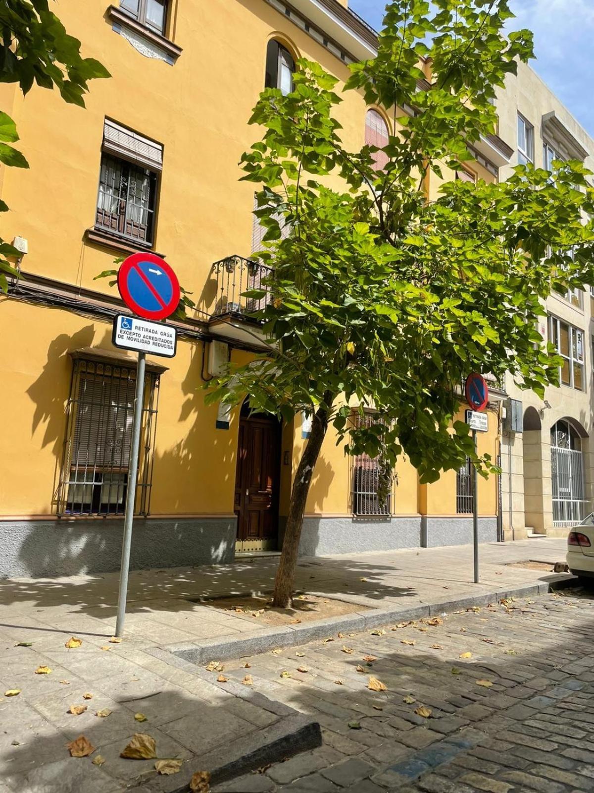 Apartamento Entero En Los Jardines De Murillo Sevilla Exteriör bild