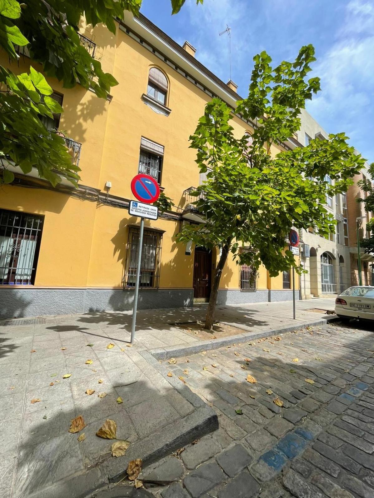 Apartamento Entero En Los Jardines De Murillo Sevilla Exteriör bild